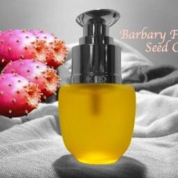 Socially Responsible Producer of organic Barbary fig seed oil. Groundbreaking anti-aging ingredients.