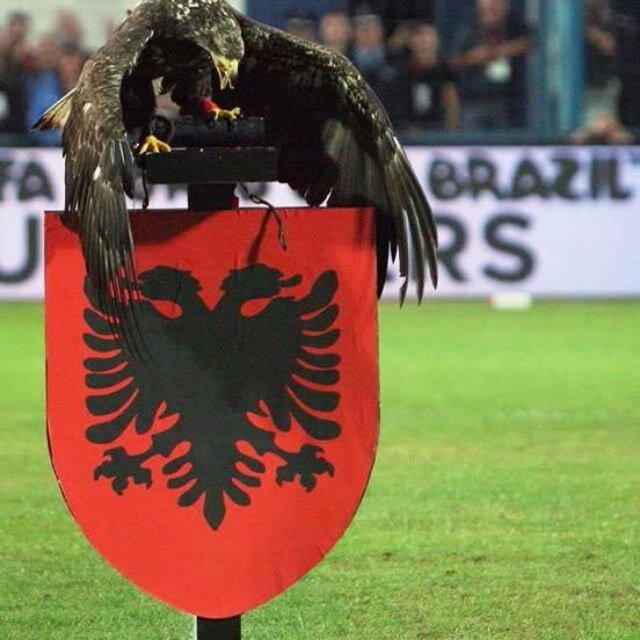 Marioyskollari's profile picture. 