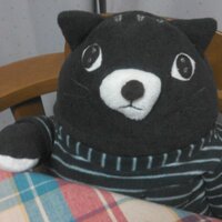 す匠（ニジマスは外来魚）(@syakubo02) 's Twitter Profileg