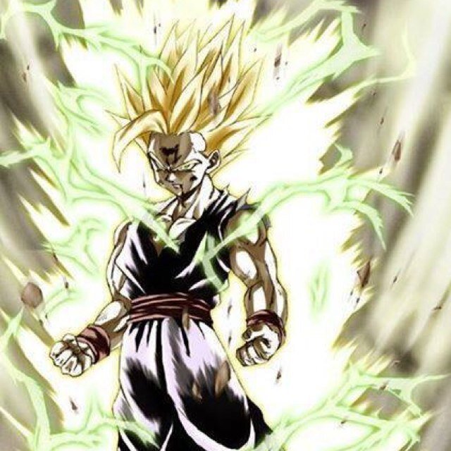 Hi my name is Gohan and my father is the Legendary Goku, My mother's name is chichi and she want me to become a Scholar.