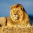 Profile Picture of Bedri CDG (@bedriCDG) on Twitter