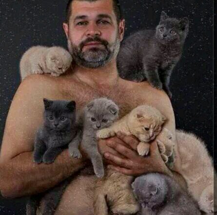 Cats are my life. My life is cats.
