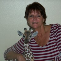 Joyce Culbertson - @JoyceCulbertson Twitter Profile Photo