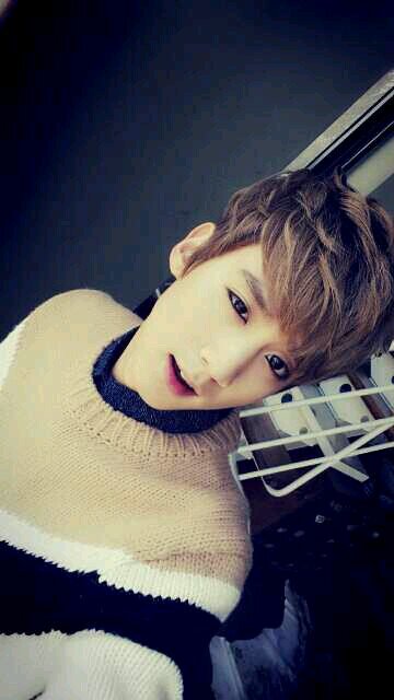 ttal1998's profile picture. 98