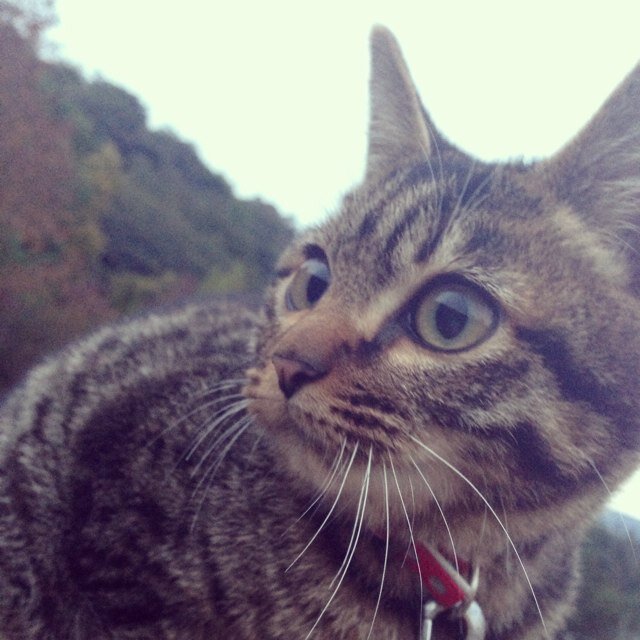 おちもはテスト期間さんのプロフィール画像