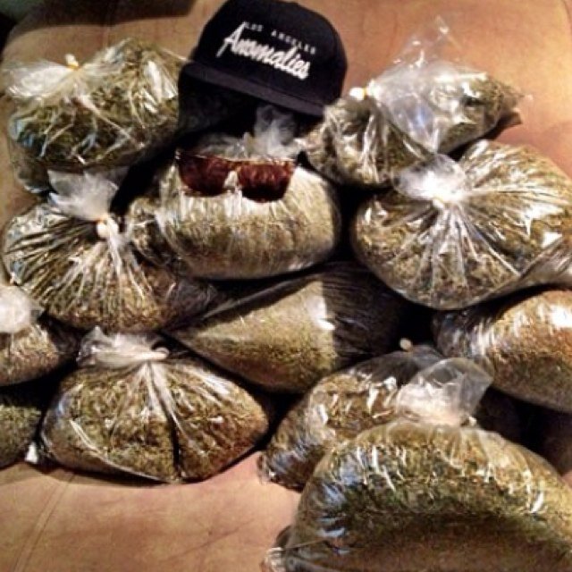 Im literally getting high while you read this #StonerNation #FollowBack #YoungHighLife #RollOne #LightOne S/O my SquadDoe
