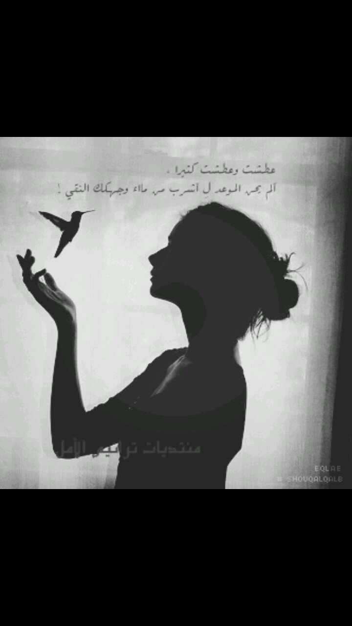 ‏‏‏‏اعشق الكورييين ♡♡