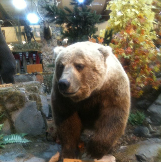 brettwitzel's profile picture. Laughing like Don Juan, scoffing like Ignatius, and high plains drifting like Clint Eastwood.