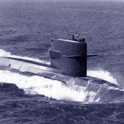 Retired Submariner, Sr. Security instructor & Consultant  

All retweets are meant for information only and do not necessarily reflect my own opinion or ideas!