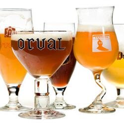 BeerTastingNote's profile picture. 