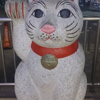 teriyaki (@teriyaki_si) 's Twitter Profile Photo