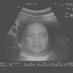 sehheuf's profile picture. SEH-arts/Emergency Physician