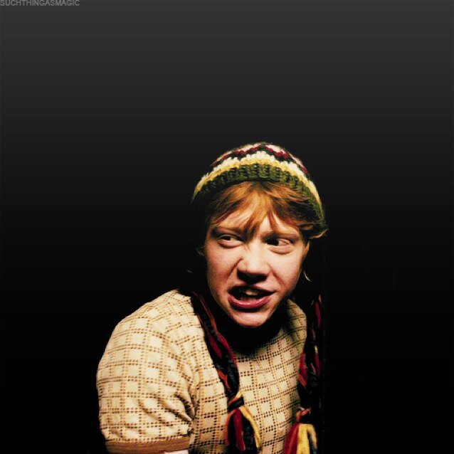 Hogwarts is my home. Magic is my life. #Potterhead -Until the very End- #ThePerks #TFIOS #Tribute #Oncer #Arrow #PJ #Sherlock