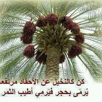 Dr Abdullah Alatel (@aalatel) 's Twitter Profile