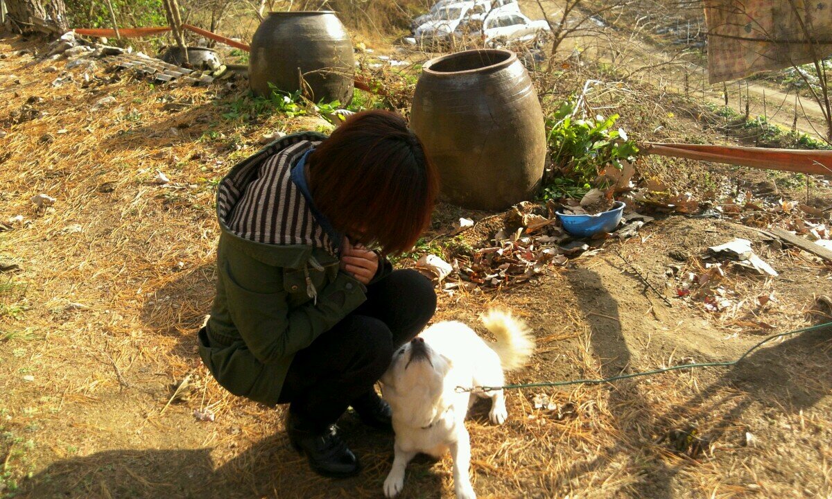 걷다 지쳐가고 있음