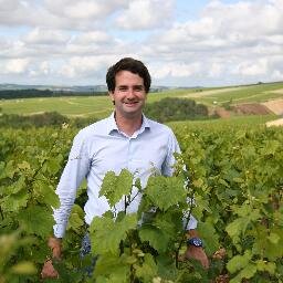 Winemaker at Maison Albert Bichot - Beaune, owner of 6 estates from Chablis to Moulin à Vent !