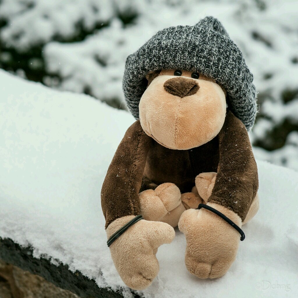 ngchiheng's profile picture. 