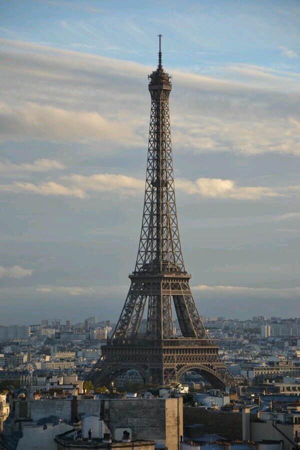 kaylaq007's profile picture. 