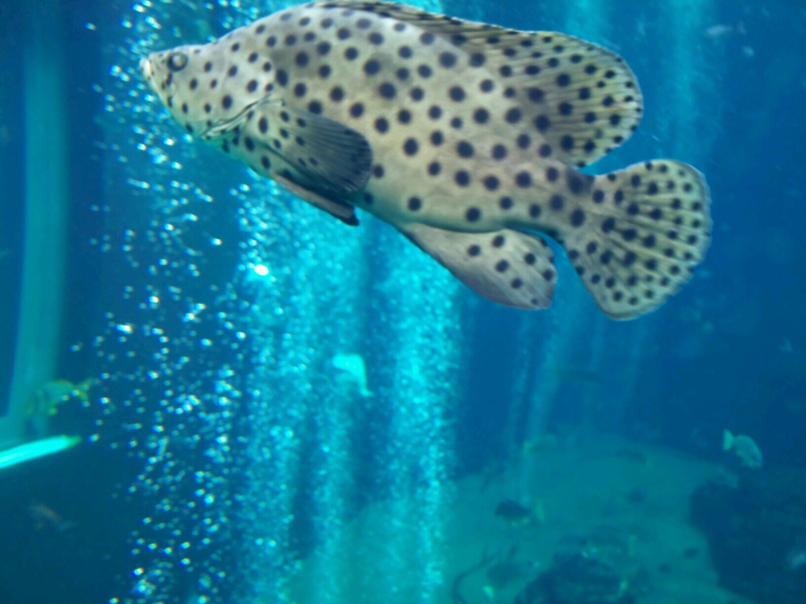 takotakoikaika's profile picture. 読心術勉強中。