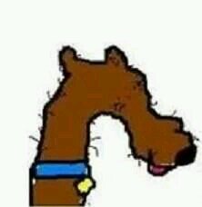 I liek scuby sneks
