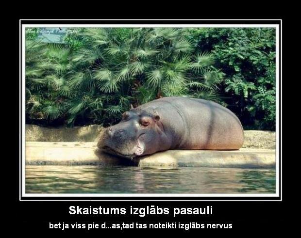 Pasmaidi! It īpaši pavisam nopietnās situācijās! :) Kā saka - smieties labāk nekā raudāt, it īpaši, ja nepalīdz ne viens, ne otrs!