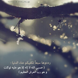 “كنَ قنوعاً بمٌا لديكَ ، ف بحثكَ عن الأجمَل يقتلٌ جمَال ماتملكَ أحيَانا ..” بكالوريس علوم ماليه  ام لاجمل طفل ♥️