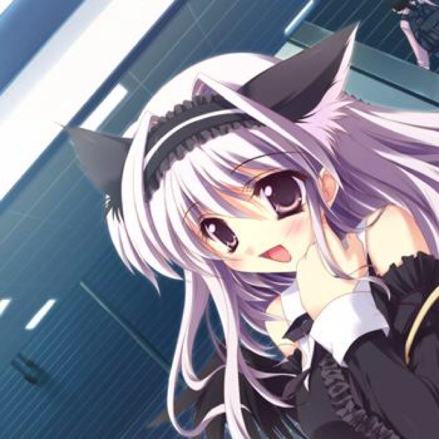 きょんさんのプロフィール画像