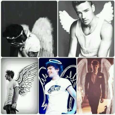 we are proud to be directioners ..open followback every sunday because sunday is free #1DFamil