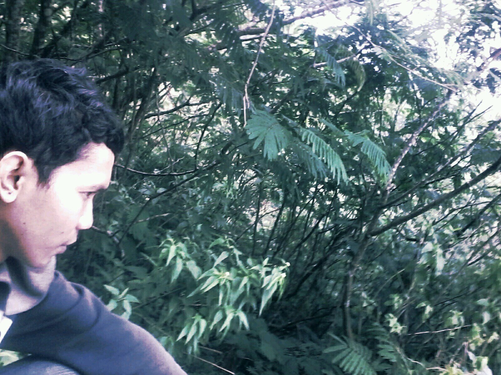 Ngalor-ngidul_ngluyurr tok wess