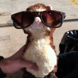 so much sweg u don't even kno
