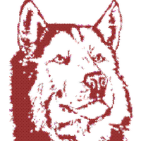 Harrison High School (@harrisonhusky) 's Twitter Profile