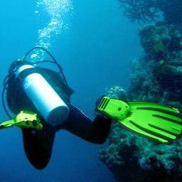 Marine Freshwater Biology BSc Tropical Coastal Management MSc 🪸 Senior Restoration Ecologist @BMT_Global #StakeholderEngagement #MarineHabitatRestoration🌏 BNE