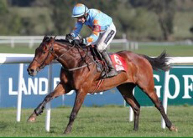 UnDeSceaux's profile picture. ARKLE WINNER 2015, RYANAIR WINNER 2017