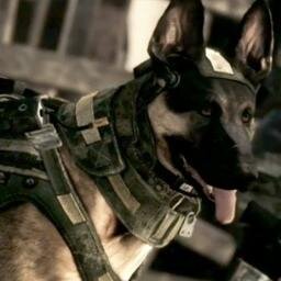 Cod Lover  !!!!!!!! :D