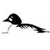 Chasewater Sightings (@cwg_sightings) Twitter profile photo