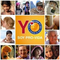 Ciberactivista Pro-Vida. Defendiendo los Derechos Humanos Pre-Natales y Post-Natales.

Contacto: yotambienfuifeto@gmail.com