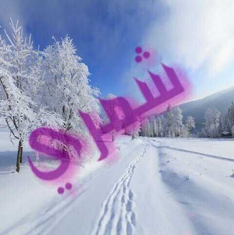 كل ماضاقت مساليك الحياةمالقيت مثل علاج السجود