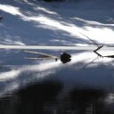 dan heid - @DanSambroni - Twitter