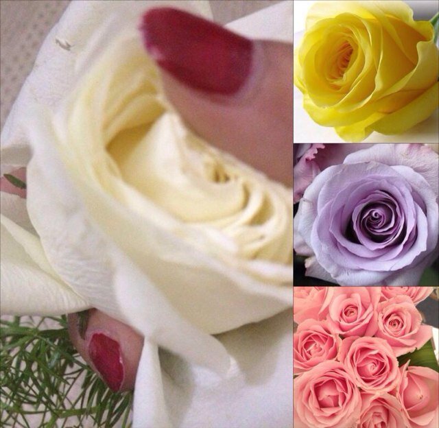 Ghada_JJ Profile Picture