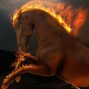 Doug Copple - @Talltx78 - Twitter