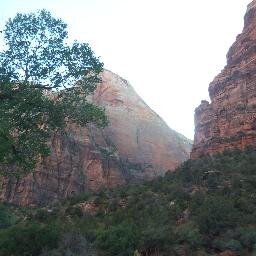 Naturismo, Salud, Herbolaria, Terapia Alternativa