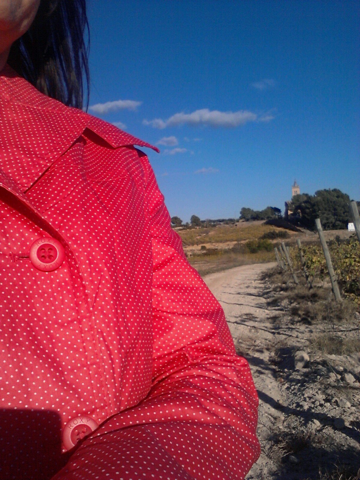 soniajiue's profile picture. 