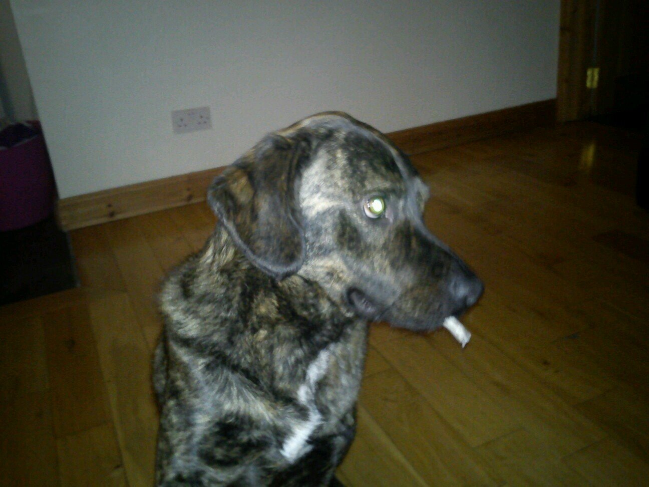 WilliamDavidAnd's profile picture. 