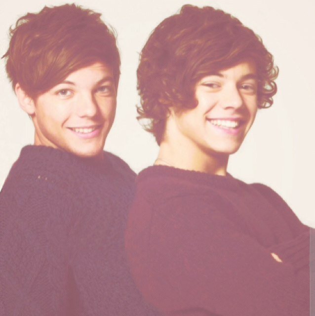 Hi, I ship LARRY HARD and if you dont like that then get the fuck of my twitter page!