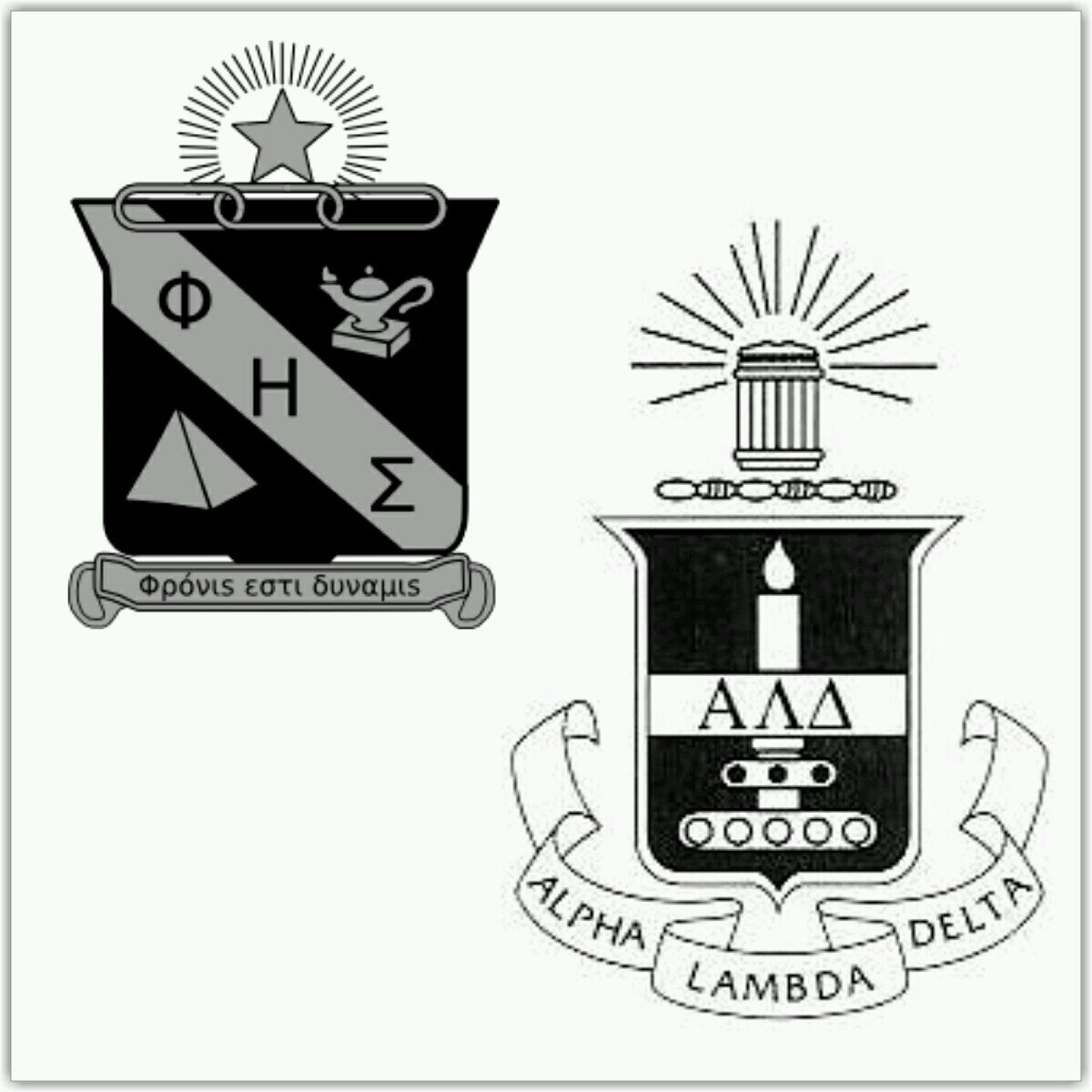 Joint chapter of Alpha Lambda Delta/Phi Eta Sigma First-Year Honor Societies at Otterbein University #ALDScholar #WeAreALD #phietasigma