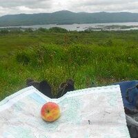 Penny Johnston (@pennyj404) 's Twitter Profile