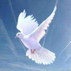 Tell poeple about Jesus christ,making it a media to hook up with everybody around the world,especially the lost sheep and those already in christ the savior.