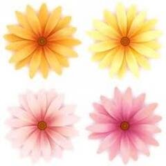 rahulhasan91's profile picture. 