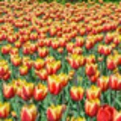 HezkCes's profile picture. Míra mého vědění vskutku, je mírou mé radosti i smutku