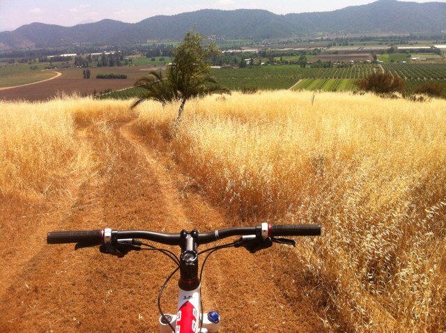 geviath's profile picture. 